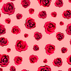 Striking Red Roses on Blush