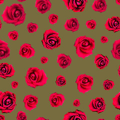 Striking Red Roses on Olive
