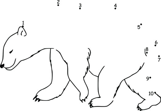 vector cartoon bear join to the dots education game for pre school kids activity