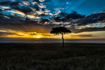 Fototapeta na wymiar A sunset on the Mara. Taken in Kenya