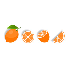 Fresh orange icon set on white background,vector illustration