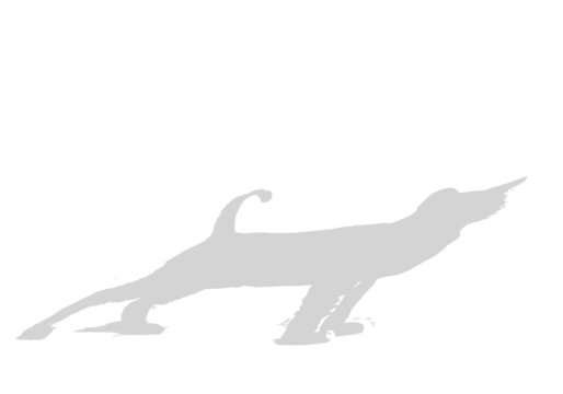 The shadow of a cat on a white background. Black and white image to overlay a photo or mockup