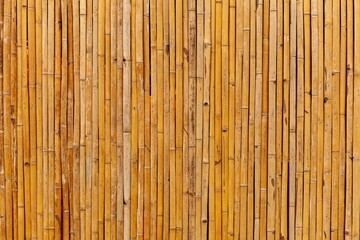Brown old Bamboo fence texture and background seamless
