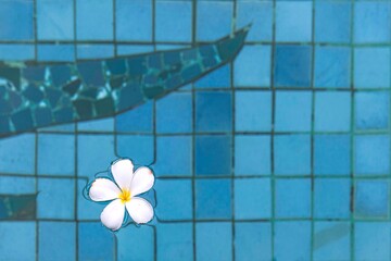The flowers float in the water at the pool inside the hotel for use as a background