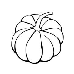 Vector outline pumpkin in doodle style. Black contour isolated on white background. Symbol Halloween, autumn, crop, thanksgiving day, fruitful year