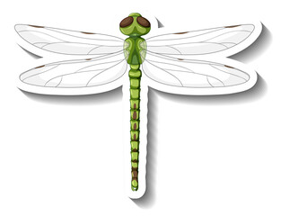 A sticker template with top view of dragonfly isolated