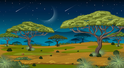 African Savanna forest landscape scene at night