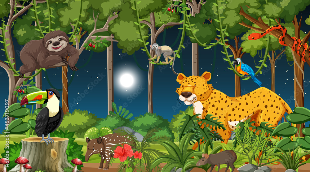 Poster Forest at night scene with different wild animals