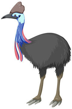 recommend clip art: Cassowary cartoon isolated on white background