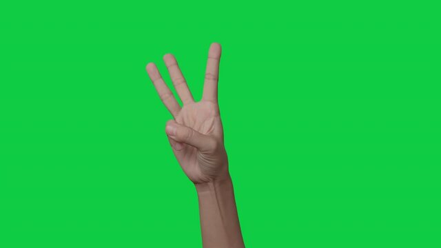 Woman hand counting from 0 to 5 on chroma key green screen background, Woman shows fist fist, then one, two, three, four, five fingers.