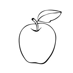 Vector contour apple with a leaf in the doodle style. A hand-drawn isolated fruit. Clipart, a symbol of the harvest, summer, autumn, garden, healthy food, school snack