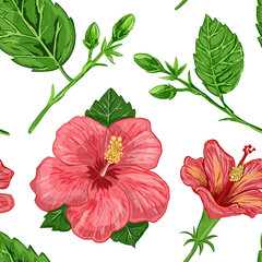 illustration of a seamless pattern of hibiscus plants flowers and leaves of a plant on a background