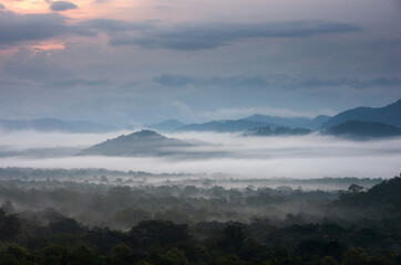 Aerial view. Beautiful fog in the forest with green mountains.