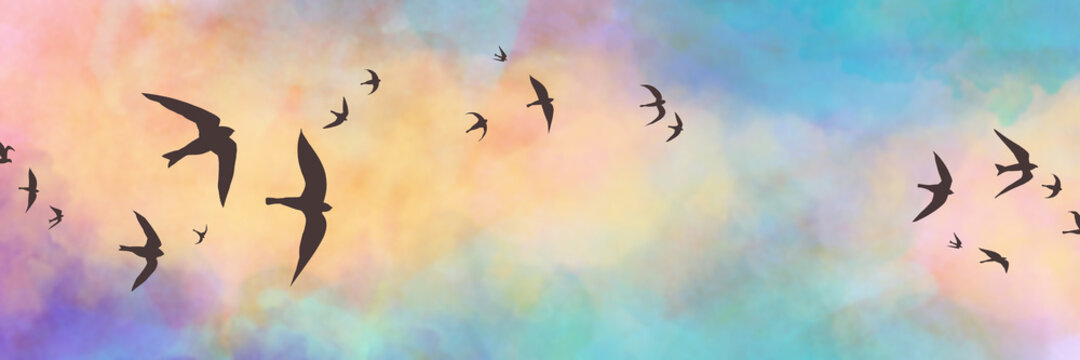 Black bird silhouettes on sunset sky background, birds sketched in black outlines flying in a flock with colorful blue yellow pink and purple clouds in beautiful sunset colors