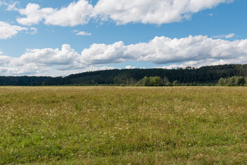 gorgeous nature landscape in summer