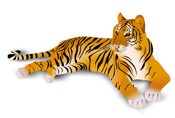 寅　年賀状　和柄　背景