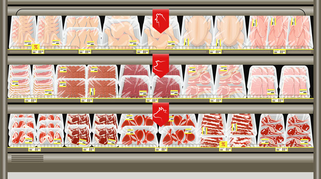 Fresh Meat Packed In Trays On The Counter Of The Butcher Store. Frozen And Chilled Pork, Beef And Chicken. Vector Illustration.