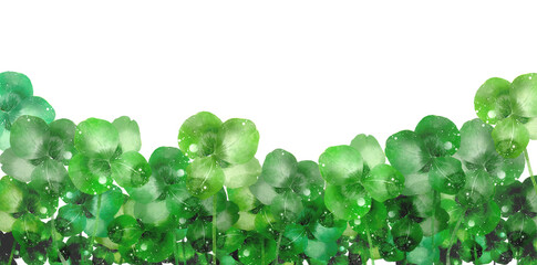 沢山の四葉のクローバー（水彩画）