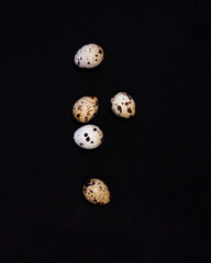 Quail eggs or eggs from turtles. Special turtles that are deliberately kept for their eggs. Egg templates. Turtle egg concept. Healthy organic food and diet concept. Blurred focus.