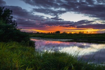 A beautiful evening sunset with a reflection of the sky on the surface of the lake with dense green grass along the banks.