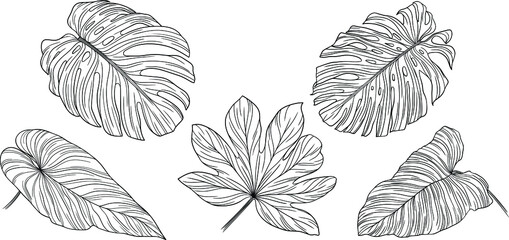 Tropical leaves isolated on white. Hand drawn vector illustration