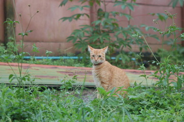 Then life got this complicated folks