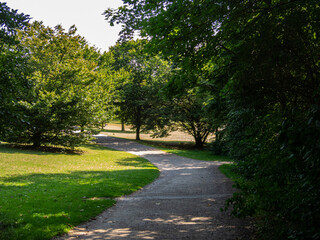 Fototapeta na wymiar Path and trees in park