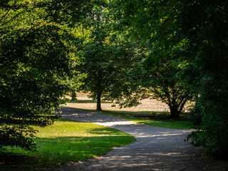 Path and trees in park
