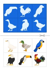 Educational  game for children. Find the right shadow. Cute cartoon birds.