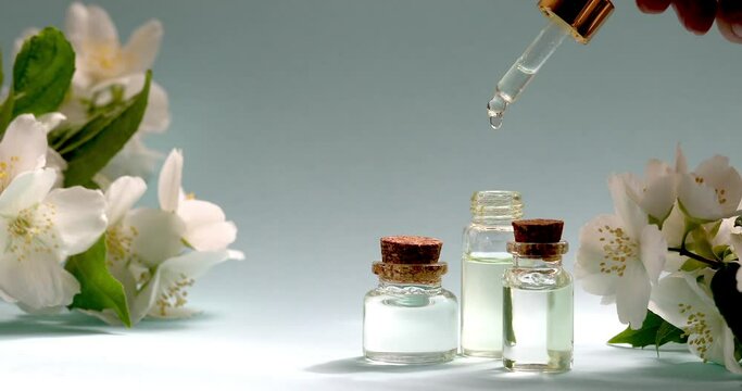Jasmine essential oil is dripped into a dropper on a background of jasmine. Beauty moisturizing essence in oil dropper glass bottle. Hydrating serum, vitamin for face skin. High quality 4k footage
