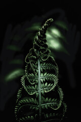 close up of green fern leaves on dark background - obrazy, fototapety, plakaty