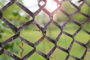 Naklejka premium Rusty wire lattice fence. Nature in the rays of the sun behind the fence. Conclusion of the concept, migration. Copy space