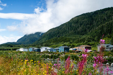 wild flowers and colorful houses in Nisga'a Lands
