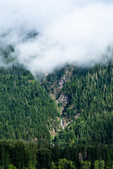 waterfall through the woods