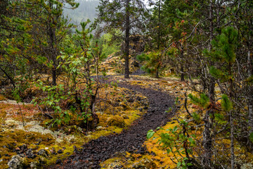 Fototapeta na wymiar trail through lava fields