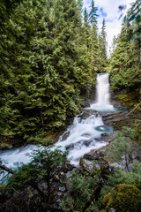 waterfall in the woods