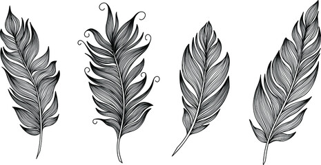 Vector feather collection. Hand drawn isolated on white background vector set. Vintage art illustration © ARTSTOK