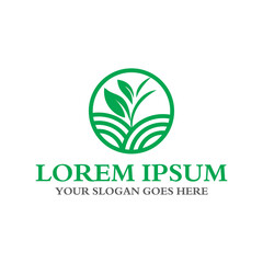 farm logo , agriculture logo vector