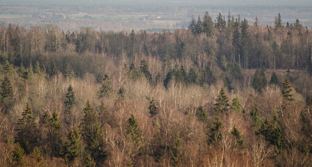 Fototapeta premium Aerial view of Kamparkalns watching tower in sunny winter day, Talsi, Latvia.