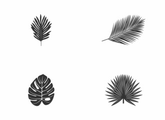 a set of palm leaves vector on a white background