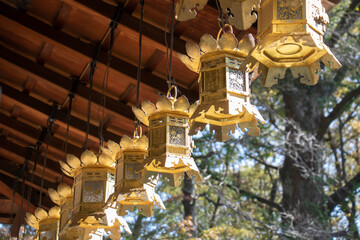 京都　下鴨神社内、金色のつるし灯籠　
