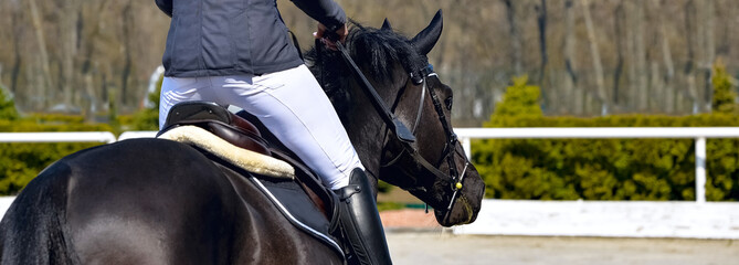 Beautiful girl on black horse in jumping show, equestrian sports. Dark horse and girl in uniform going to jump. Horizontal web header or banner design.