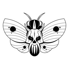 Illustration of a butterfly Dead head with a skull-shaped pattern on the thorax. Vector banner with realistic moth close