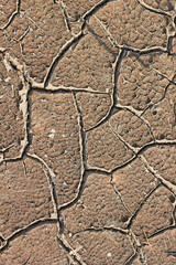 Fototapeta premium Soil background texture pattern cracks. Drought, cracked earth, mud crack. lack of moisture.