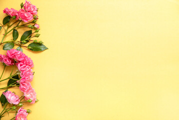 pink roses on a yellow background