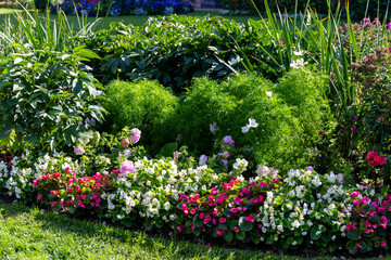 beautiful flowers are planted in the garden