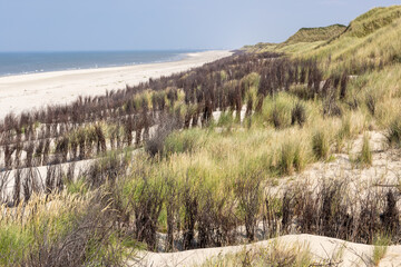 Wide view over the sandy beach and dune landscape on the North Sea coast 