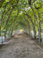 Hornbeam Walk Kołobrzeg