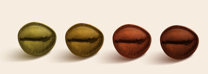 Coffee roasting isolated on a colorful background. Realistic set showing various stages of roasting.