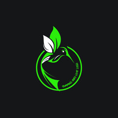 humming bird leaf logo exclusive design inspiration